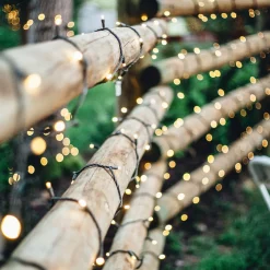 Hot 100 Count Warm White LED Solar Power Mini Christmas Light Set with Green Wire Led