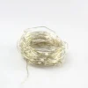 Hot 65.5 Feet LED Christmas Lights Led