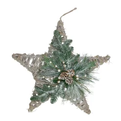 Clearance 24" Green, Gray, and Brown Frosted Mixed Pine Hanging Star Christmas Ornament Symbols
