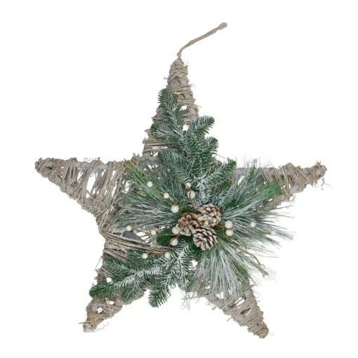 Clearance 24" Green, Gray, and Brown Frosted Mixed Pine Hanging Star Christmas Ornament Symbols
