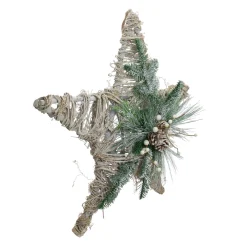 Clearance 24" Green, Gray, and Brown Frosted Mixed Pine Hanging Star Christmas Ornament Symbols