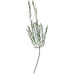 Online 33" Green Iced Willow Succulent Hanging Artificial Christmas Spray Sprays, Picks & Branches