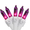 Hot 100 Purple Mini Christmas Lights - 49.6ft White Wire Incandescent