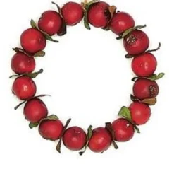 Online 4.5" Red Crab Apple Autumn Harvest Christmas Wreath Ornament Garden & Floral