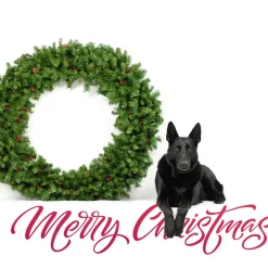 Online Dakota Red Pine Commercial Artificial Christmas Wreath - 5' - Unlit Unlit