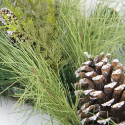 New Mixed Long Needle Pine and Pine Cone Artificial Christmas Wreath - 28" - Unlit Unlit