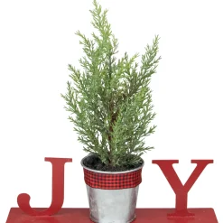 Sale Potted Faux Pine in Metal "JOY" Planter Christmas Decoration - 10" - Red Wall