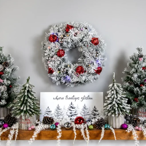 Clearance Pre-Lit Battery Operated Snowy Bristle Pine Christmas Wreath - 24" - Dual Color LED Lights Pre Lit