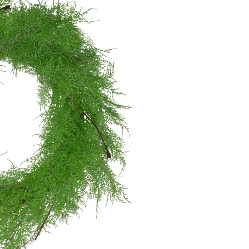 Discount Real Touch™? Artificial Cedar Christmas Wreath - 24" - Unlit Unlit