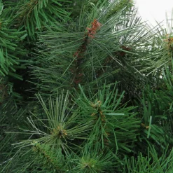 New Real Touch™? Canyon Mixed Pine Artificial Christmas Wreath - 48" - Unlit Unlit