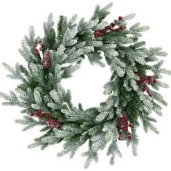 Discount Real Touch™? Flocked Snowcap Grove Fir Artificial Christmas Wreath - 24" - Unlit Unlit