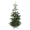 Best Real Touch™ Layered Nordmann Fir Artificial Christmas Tree - 7.5' - Unlit Unlit