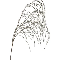 Discount Weeping Willow Artificial Christmas Spray - 47" - Silver Sprays, Picks & Branches